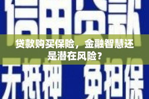 虎林贷款购买保险，金融智慧还是潜在风险？