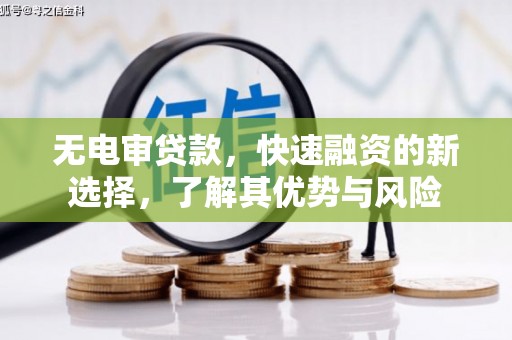 虎林无电审贷款，快速融资的新选择，了解其优势与风险
