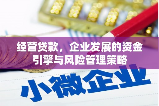虎林经营贷款，企业发展的资金引擎与风险管理策略
