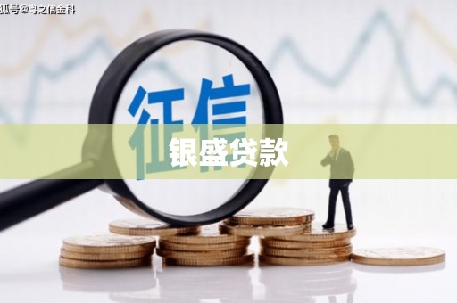 虎林银盛贷款