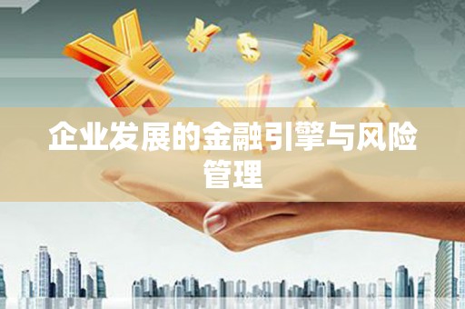 虎林企业发展的金融引擎与风险管理