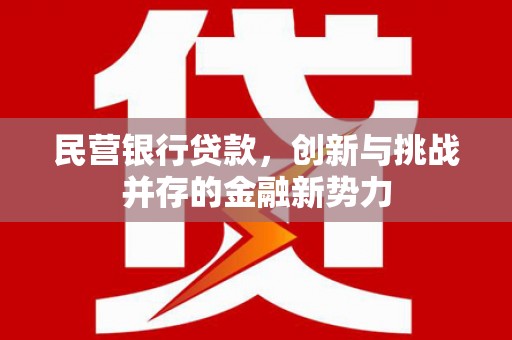 虎林民营银行贷款，创新与挑战并存的金融新势力