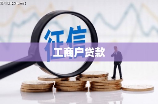 虎林工商户贷款