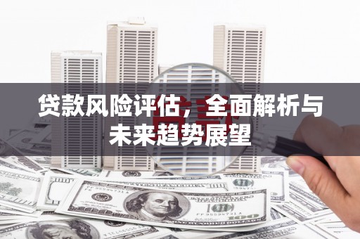 虎林贷款风险评估，全面解析与未来趋势展望