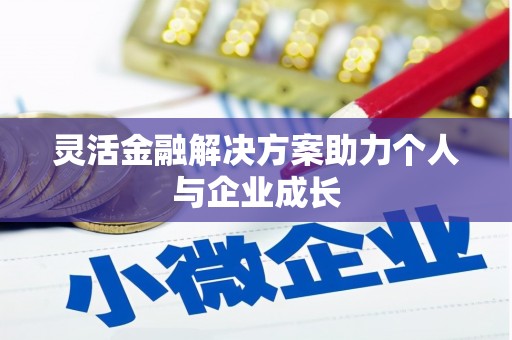 虎林灵活金融解决方案助力个人与企业成长