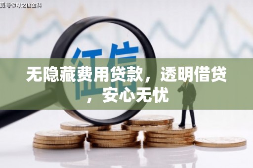 虎林无隐藏费用贷款，透明借贷，安心无忧