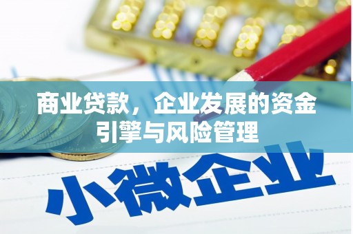虎林商业贷款，企业发展的资金引擎与风险管理