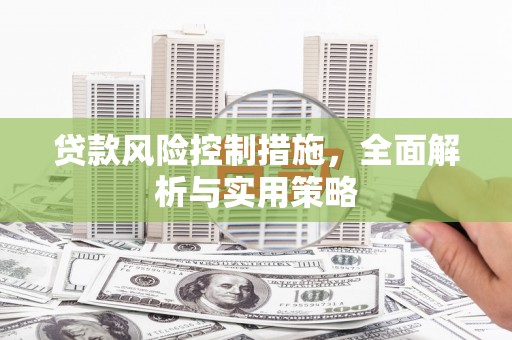 虎林贷款风险控制措施，全面解析与实用策略