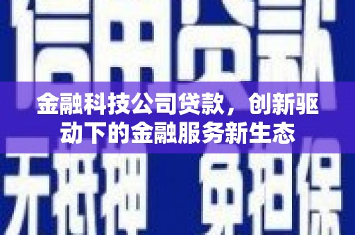 虎林金融科技公司贷款，创新驱动下的金融服务新生态