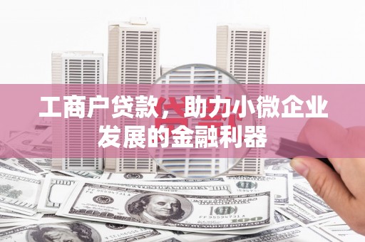 虎林工商户贷款，助力小微企业发展的金融利器