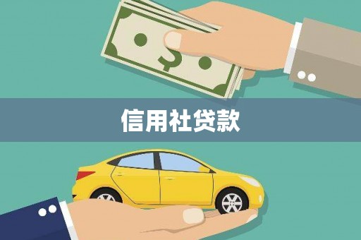 虎林信用社贷款