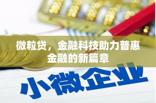 虎林微粒贷，金融科技助力普惠金融的新篇章