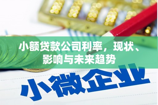 虎林小额贷款公司利率，现状、影响与未来趋势