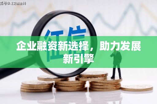虎林企业融资新选择，助力发展新引擎