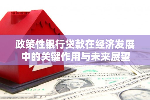 虎林政策性银行贷款在经济发展中的关键作用与未来展望
