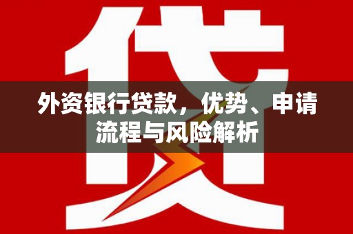 虎林外资银行贷款，优势、申请流程与风险解析