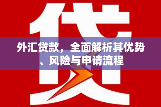 虎林外汇贷款，全面解析其优势、风险与申请流程