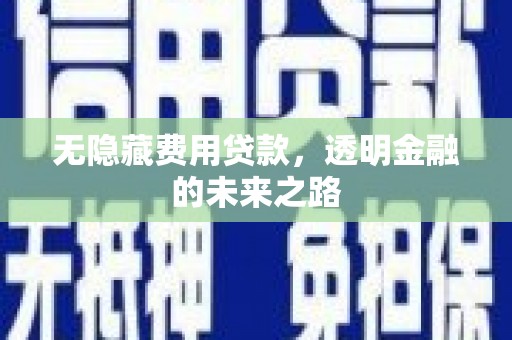 虎林无隐藏费用贷款，透明金融的未来之路