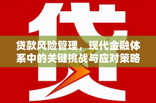 虎林贷款风险管理，现代金融体系中的关键挑战与应对策略