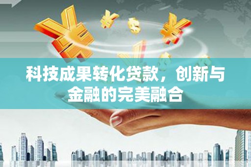 虎林科技成果转化贷款，创新与金融的完美融合