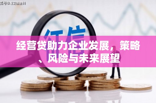 虎林经营贷助力企业发展，策略、风险与未来展望