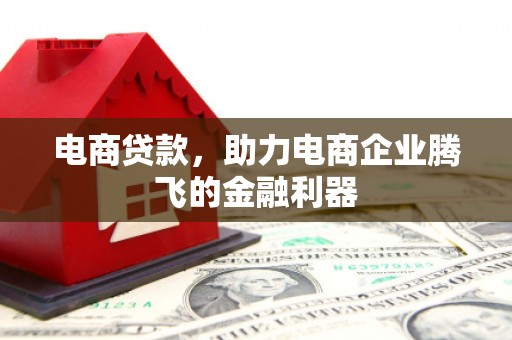 虎林电商贷款，助力电商企业腾飞的金融利器
