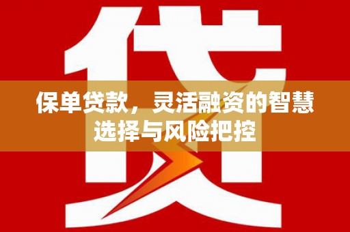 虎林保单贷款，灵活融资的智慧选择与风险把控