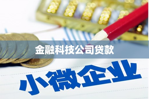 虎林金融科技公司贷款