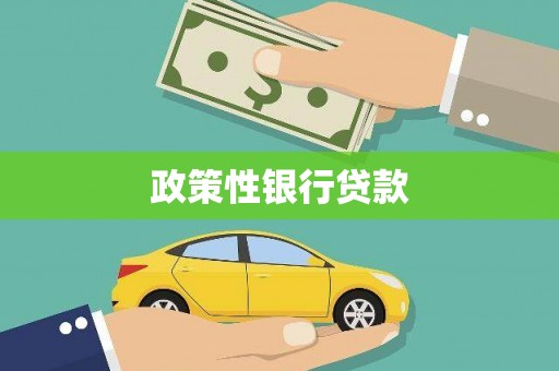 虎林政策性银行贷款