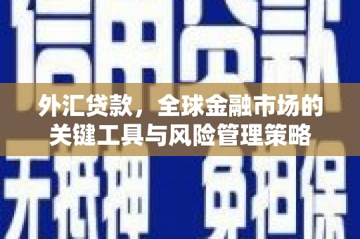 虎林外汇贷款，全球金融市场的关键工具与风险管理策略