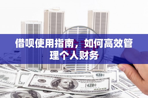 虎林借呗使用指南，如何高效管理个人财务