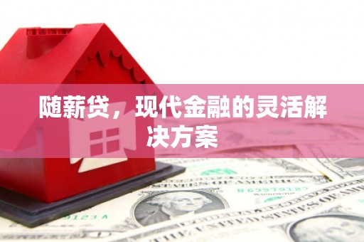 虎林随薪贷，现代金融的灵活解决方案