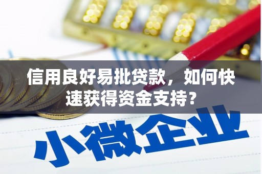 虎林信用良好易批贷款，如何快速获得资金支持？
