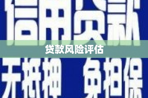 虎林贷款风险评估