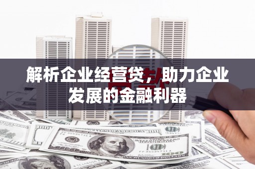 虎林解析企业经营贷，助力企业发展的金融利器