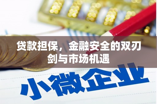 虎林贷款担保，金融安全的双刃剑与市场机遇