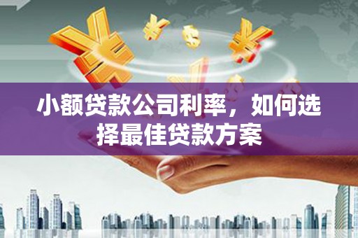 虎林小额贷款公司利率，如何选择最佳贷款方案