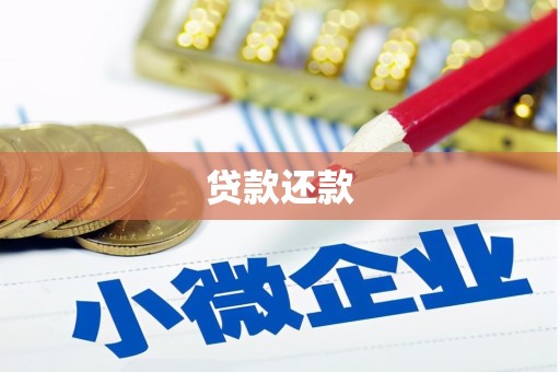 虎林贷款还款