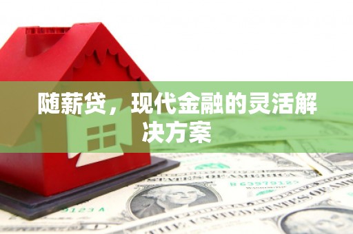 虎林随薪贷，现代金融的灵活解决方案