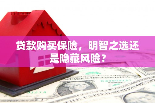 虎林贷款购买保险，明智之选还是隐藏风险？