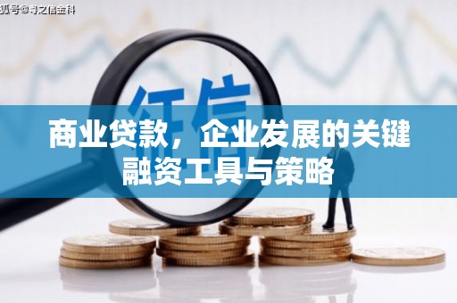 虎林商业贷款，企业发展的关键融资工具与策略
