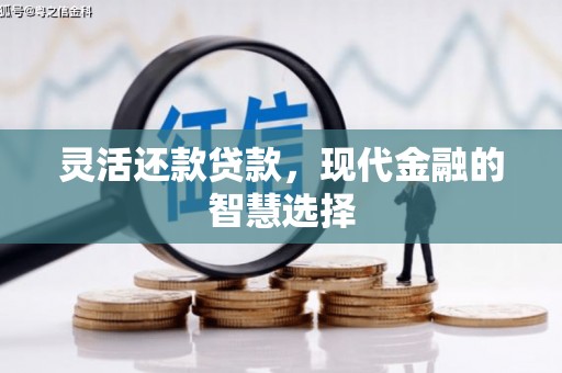 虎林灵活还款贷款，现代金融的智慧选择
