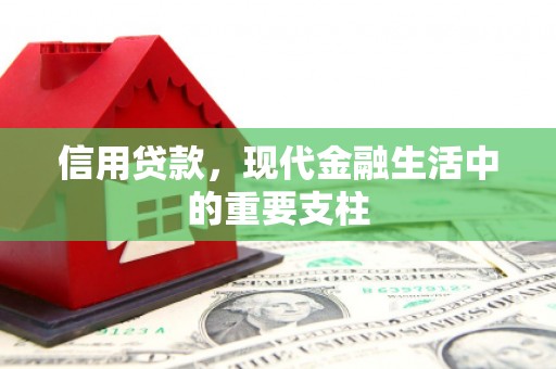 虎林信用贷款，现代金融生活中的重要支柱