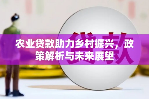 虎林农业贷款助力乡村振兴，政策解析与未来展望