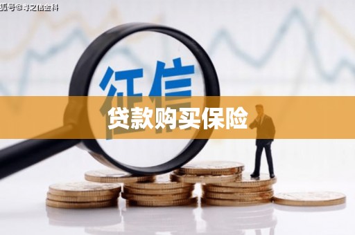 虎林贷款购买保险