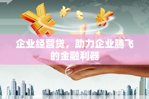 虎林企业经营贷，助力企业腾飞的金融利器