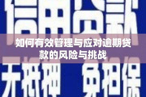 虎林如何有效管理与应对逾期贷款的风险与挑战