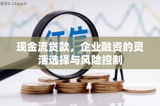 虎林现金流贷款，企业融资的灵活选择与风险控制