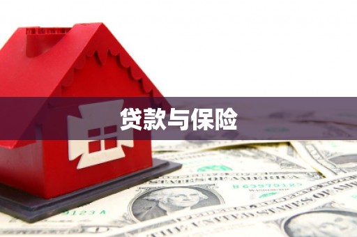 虎林贷款与保险
