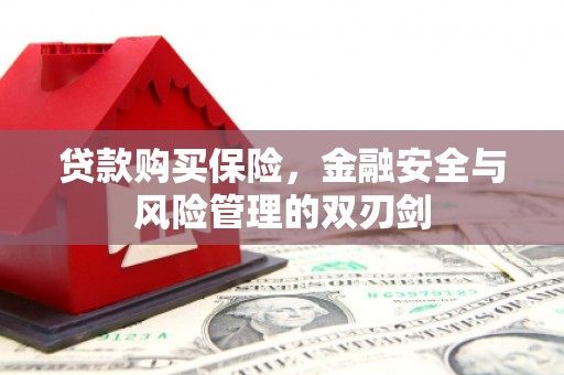 虎林贷款购买保险，金融安全与风险管理的双刃剑
